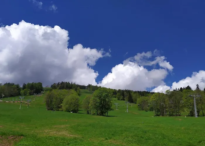 Mlynarka - *